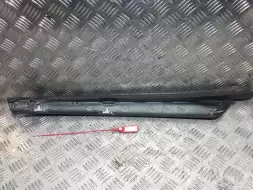 Молдинг (накладка кузовная)