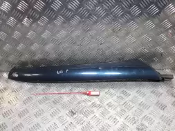 Молдинг (накладка кузовная)