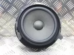 Динамик двери задней правой