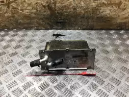 Радиатор (дополнительный)