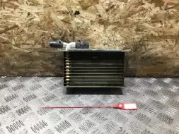 Радиатор (дополнительный)