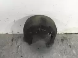 Защита арок задняя правая (подкрылок)