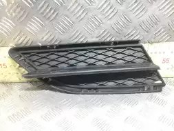 Заглушка (решетка) в бампер передний