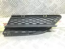 Заглушка (решетка) в бампер передний