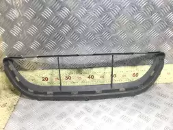 Заглушка (решетка) в бампер передний