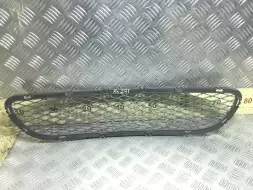 Заглушка (решетка) в бампер передний