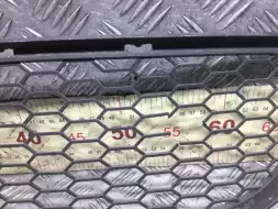 Заглушка (решетка) в бампер передний