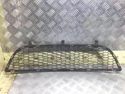 Заглушка (решетка) в бампер передний