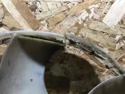 Вискомуфта