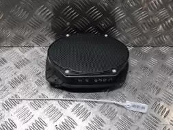 Динамик двери задней правой