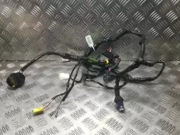 Проводка двери передней левой