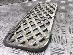 Заглушка (решетка) в бампер передний