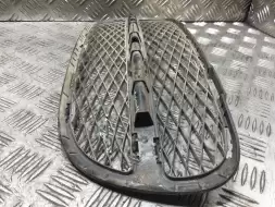 Заглушка (решетка) в бампер передний