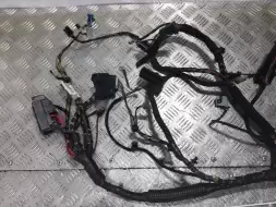 проводка панели передней салона (торпедо)