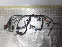проводка панели передней салона (торпедо)