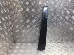 Молдинг двери задней левой