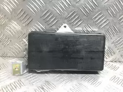 Подушка безопасности боковая (в дверь)