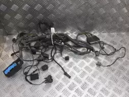 Проводка (коса) парктроников