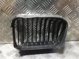 Решетка капота