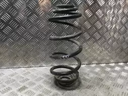 Пружина задняя