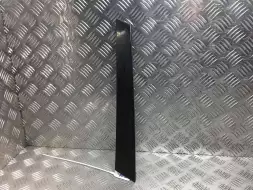 Молдинг (накладка кузовная)