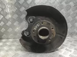 Ступица задняя правая