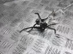 Масляная форсунка