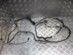 Проводка двери