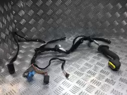 Проводка двери передней правой