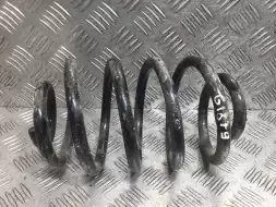 Пружина задняя