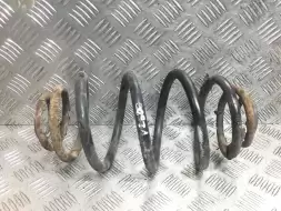 Пружина задняя