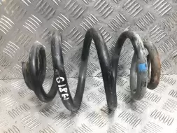 Пружина задняя