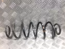 Пружина задняя