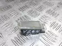 Фонарь салона (плафон)