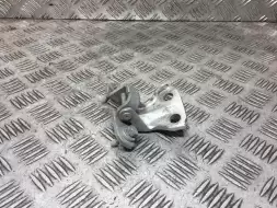 Петля двери задней левой