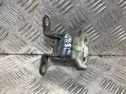 Петля двери задней левой