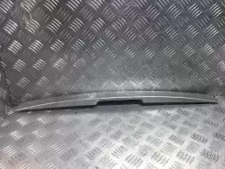 Молдинг (накладка кузовная)