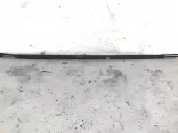 Молдинг крыши