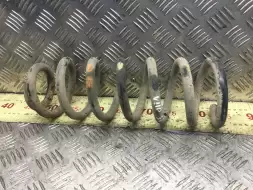 Пружина задняя