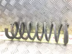 Пружина задняя