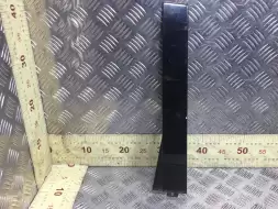 Молдинг двери задней левой