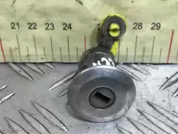 Личинка дверного замка