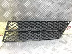 Заглушка (решетка) в бампер передний