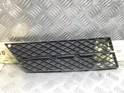 Заглушка (решетка) в бампер передний