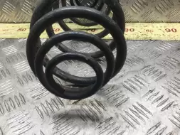 Пружина задняя