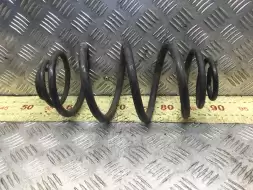 Пружина задняя