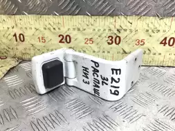 Петля двери задней левой