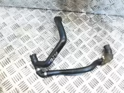 Патрубок (трубопровод, шланг)