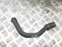 Патрубок (трубопровод, шланг)