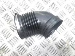 Патрубок (трубопровод, шланг)